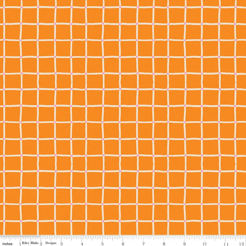 100 Aker Woods, Picnic Plaid Orange
