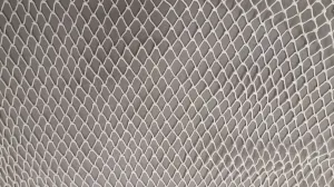 #21 x 1-3/8in x 72md White HD Acrylic Coat Web (sold by the foot)