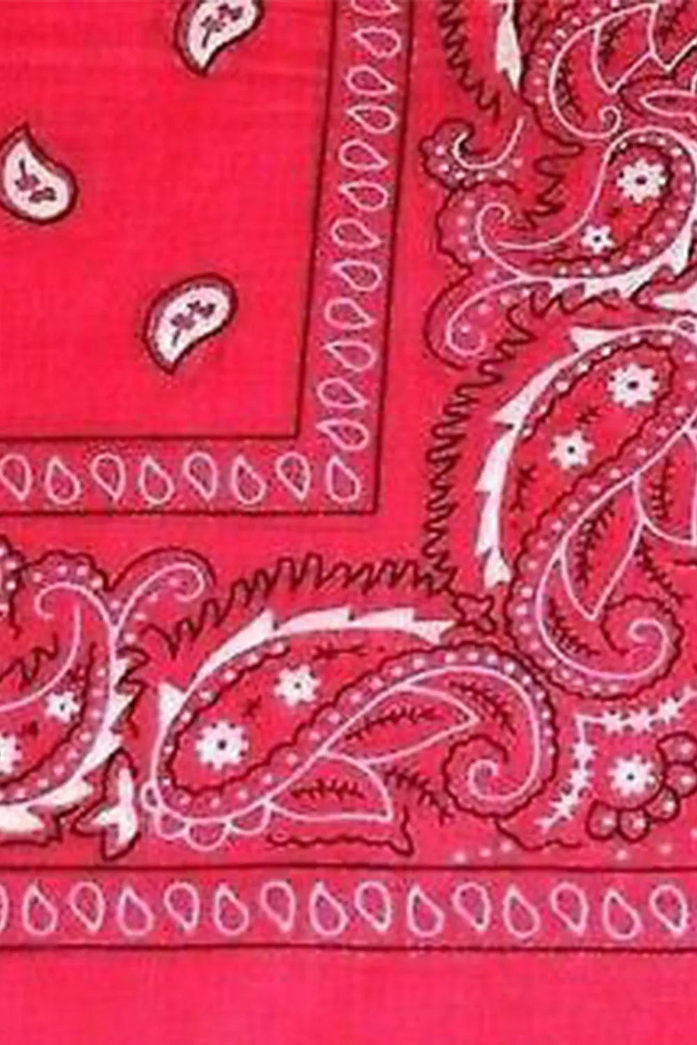 25 Pack Premium Paisley Bandana Headbands