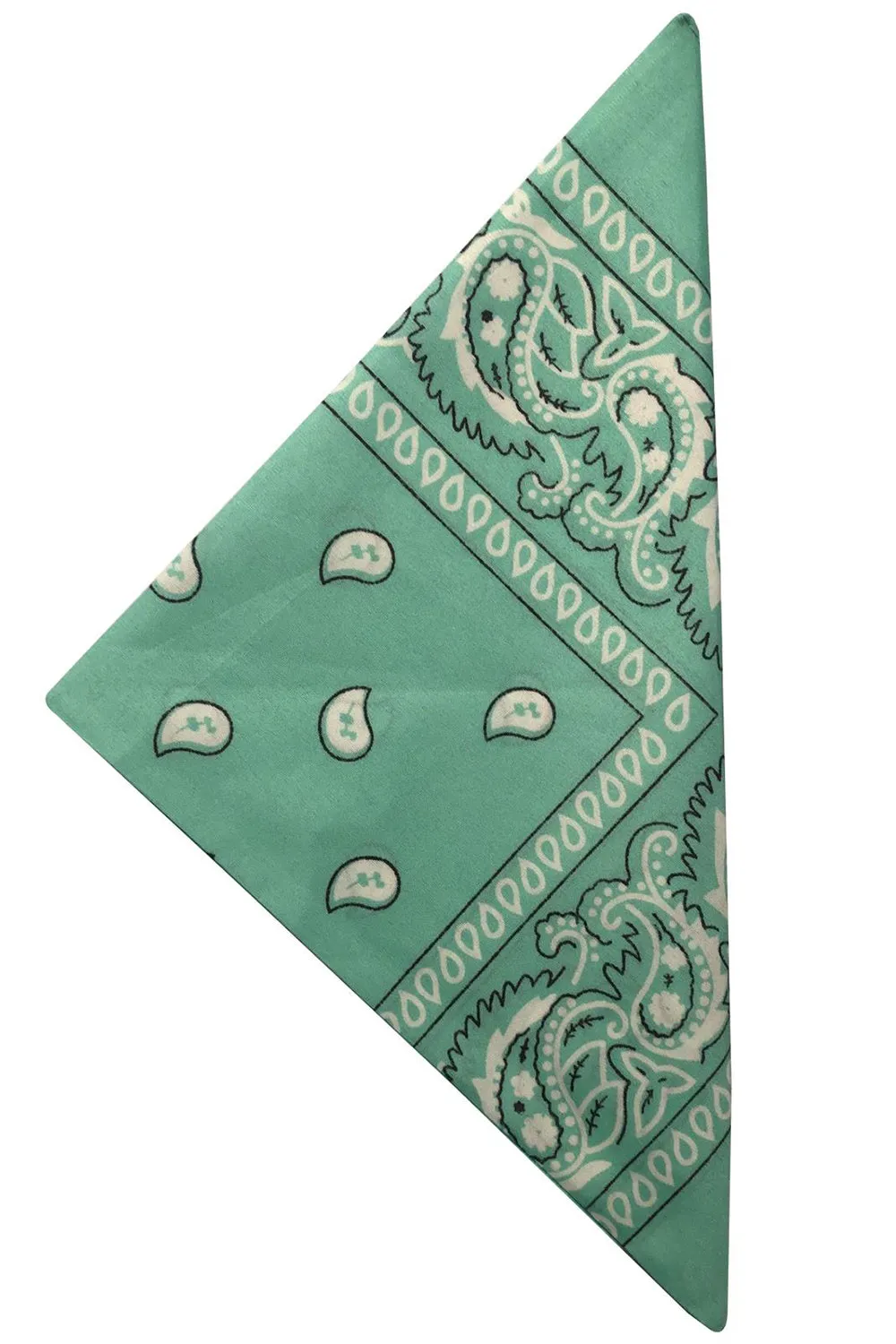 25 Pack Premium Paisley Bandana Headbands