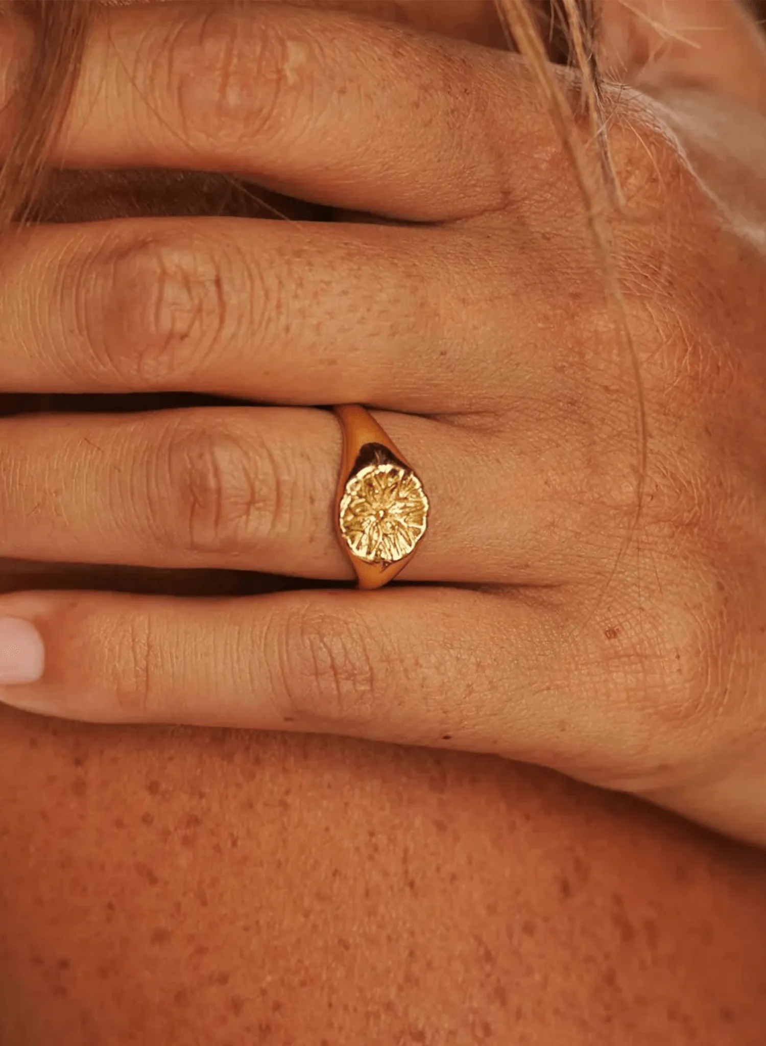 Carina Hardy - LP Signet Ring - Gold