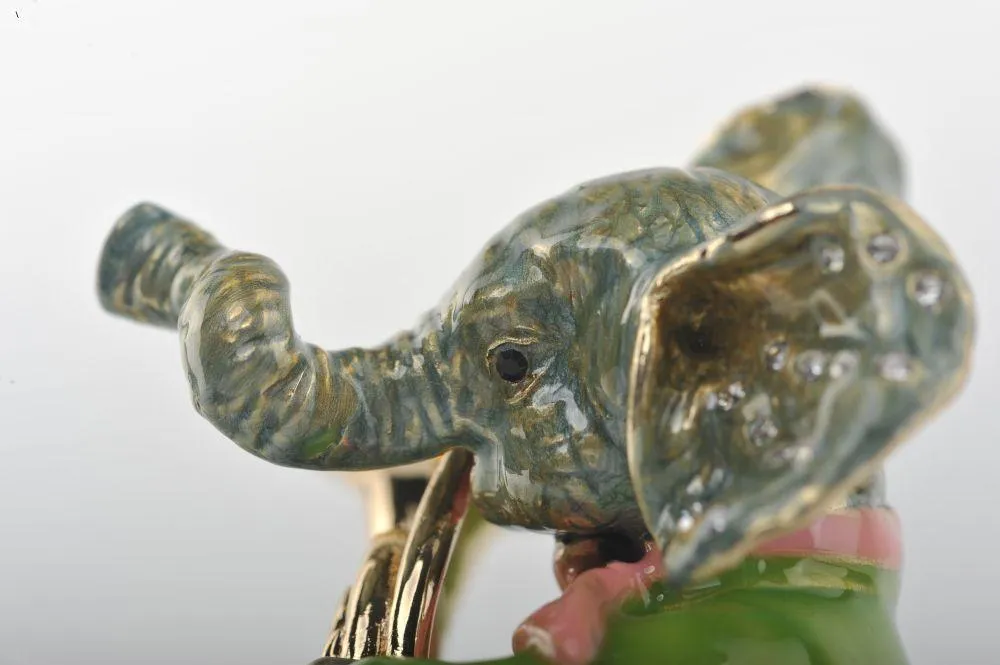 Elephant Playing the Trumpet