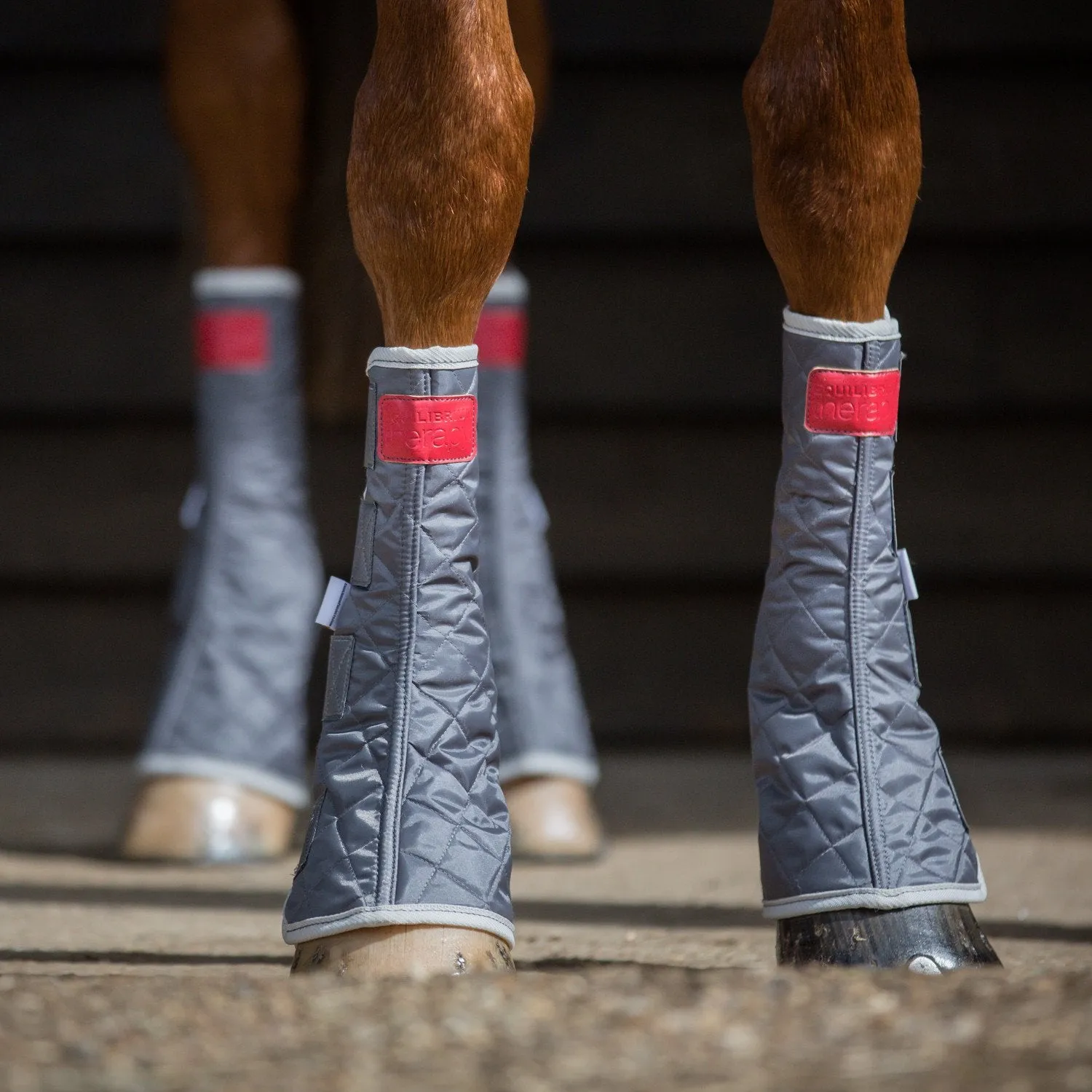 Equilibrium Therapy Magnetic Chaps, stallboots med möjlighet till magnetterapi