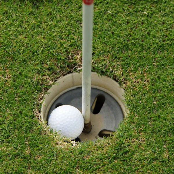 Hole in One (4 Player Team with logo sign)