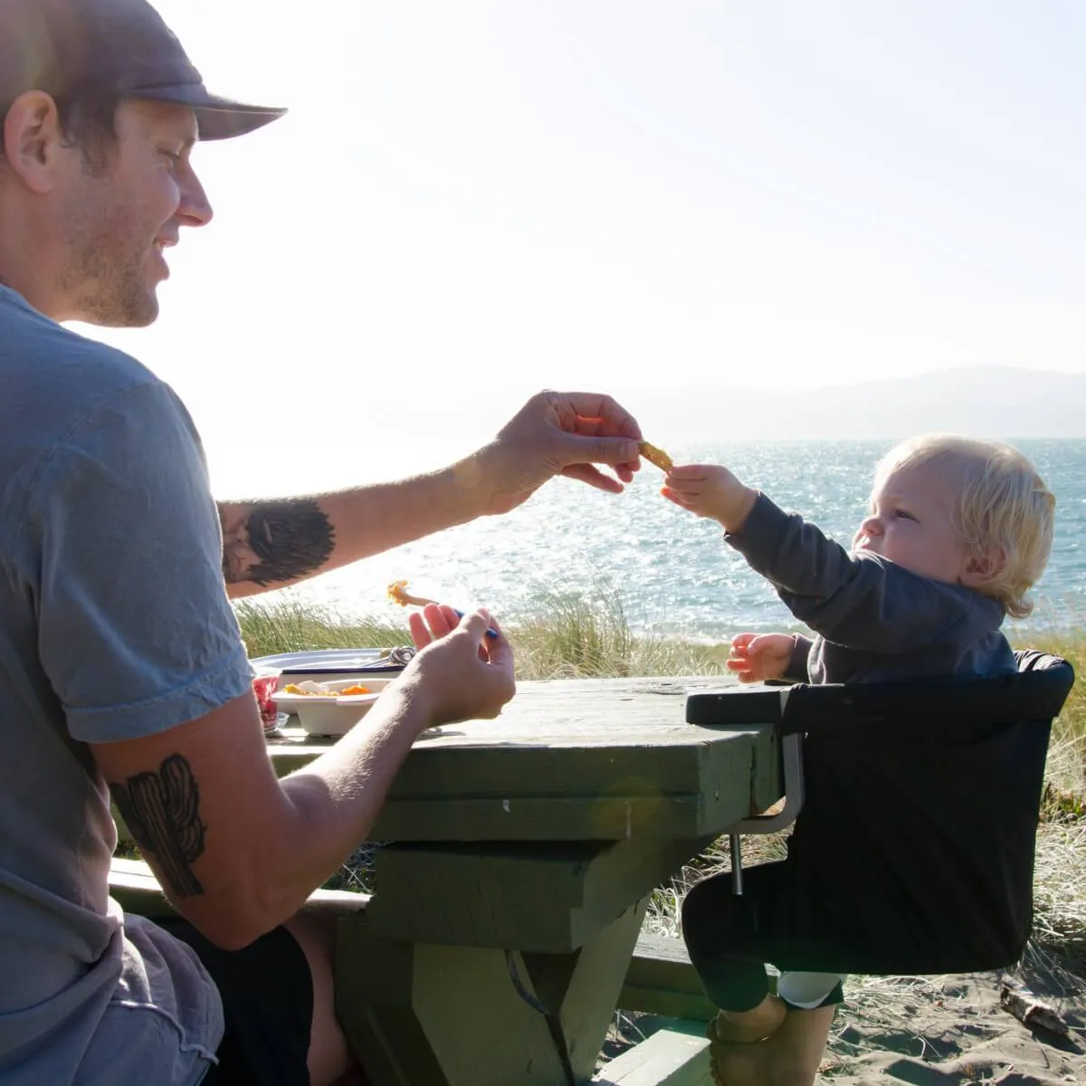 Mountain Buggy Pod Clip On Highchair - Chilli