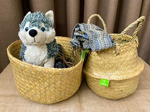 Natural Woven Basket for Storage - Set of 2 - Belly Basket- Plant Basket - Ideal Plant Pot, Laundry & Picnic Basket for Home or Outdoor Use