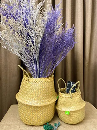 Natural Woven Basket for Storage - Set of 2 - Belly Basket- Plant Basket - Ideal Plant Pot, Laundry & Picnic Basket for Home or Outdoor Use