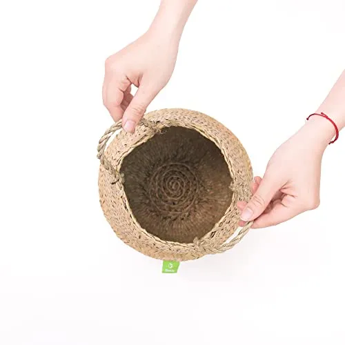 Natural Woven Basket for Storage - Set of 2 - Belly Basket- Plant Basket - Ideal Plant Pot, Laundry & Picnic Basket for Home or Outdoor Use