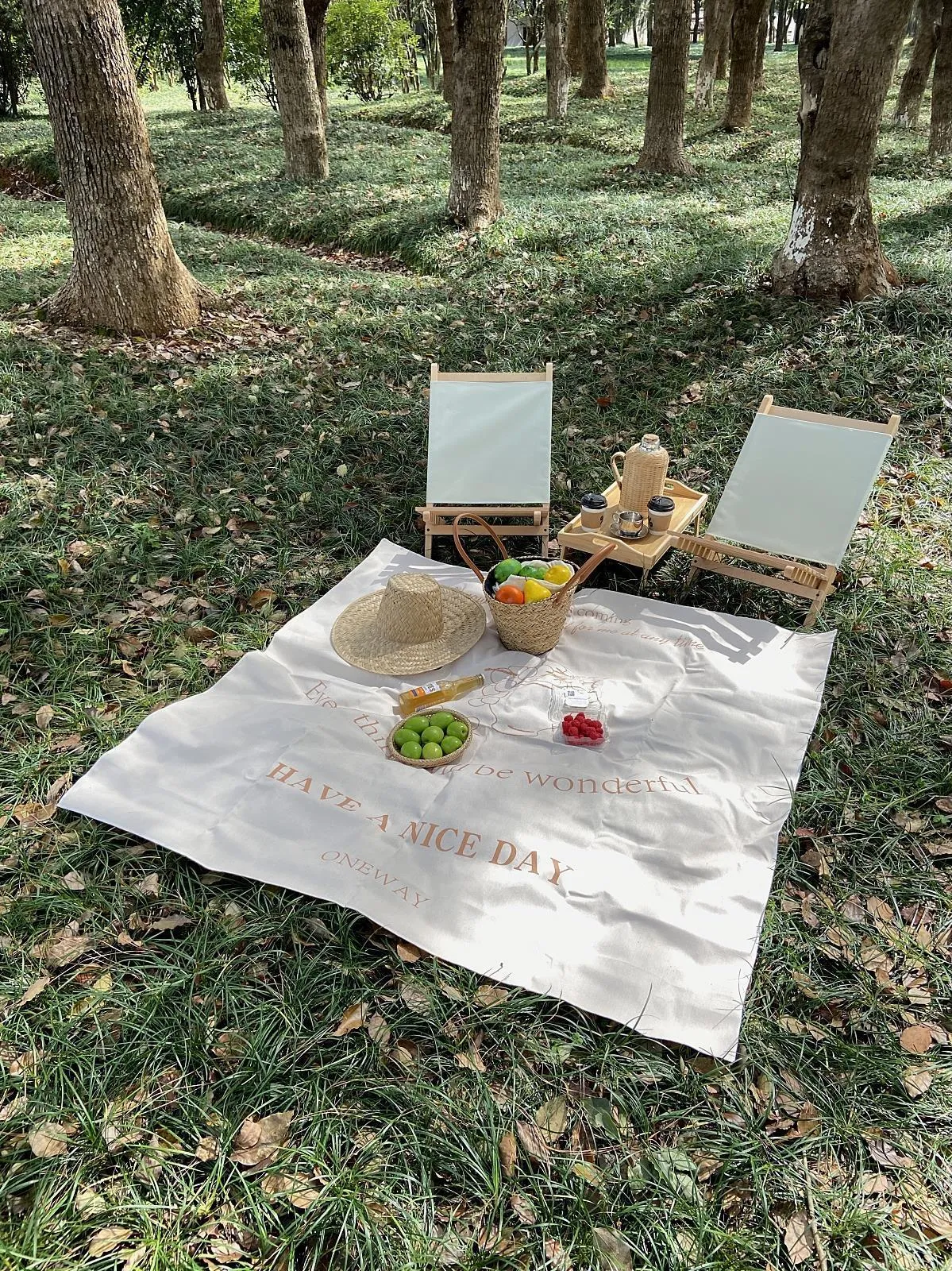 Outdoor Moisture Proof Pad Camping Foldable And Portable Picnic Beach Mat