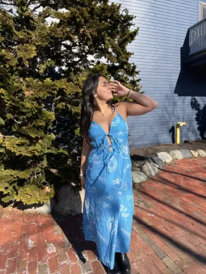 Park Picnic Maxi