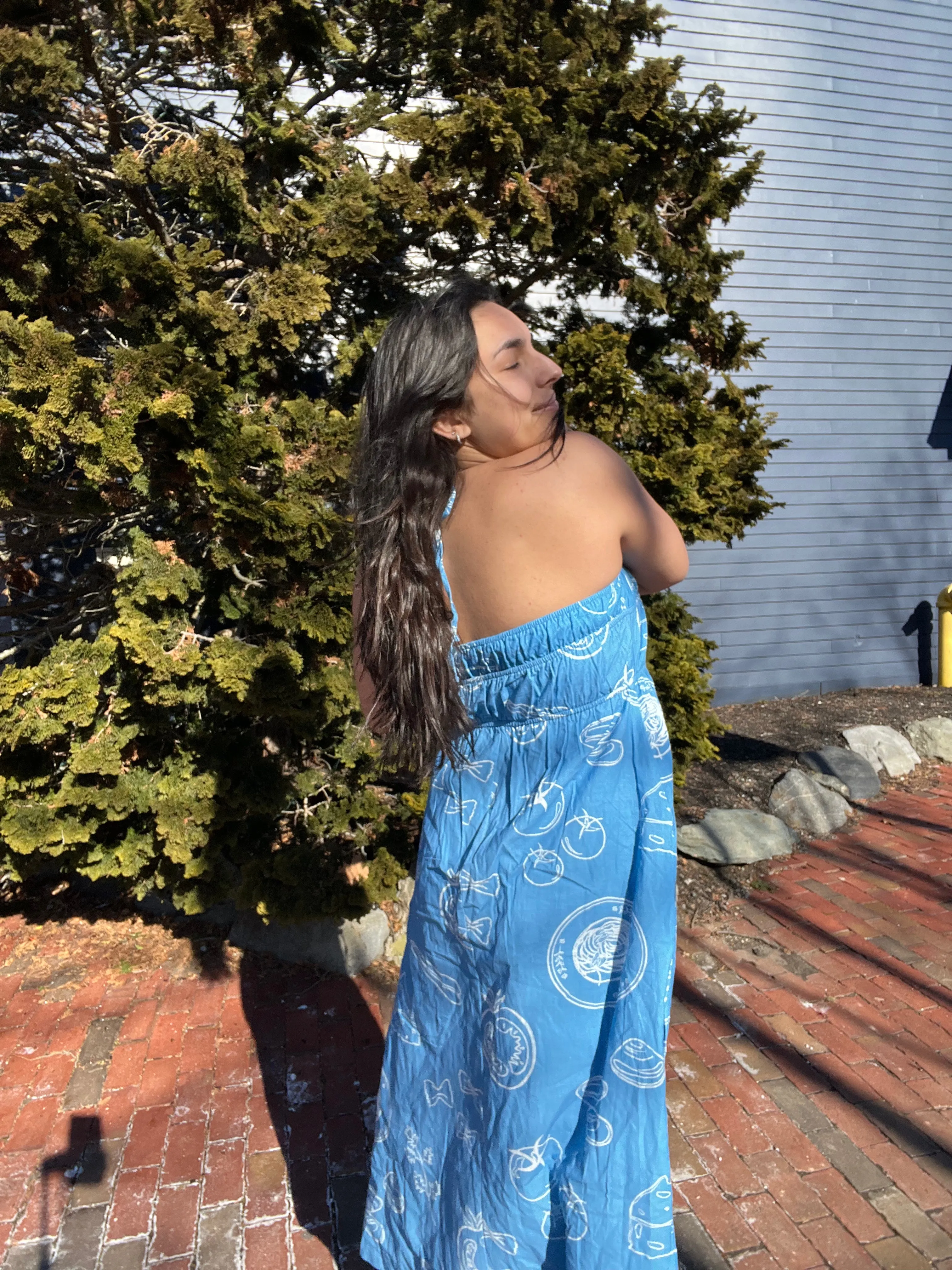 Park Picnic Maxi