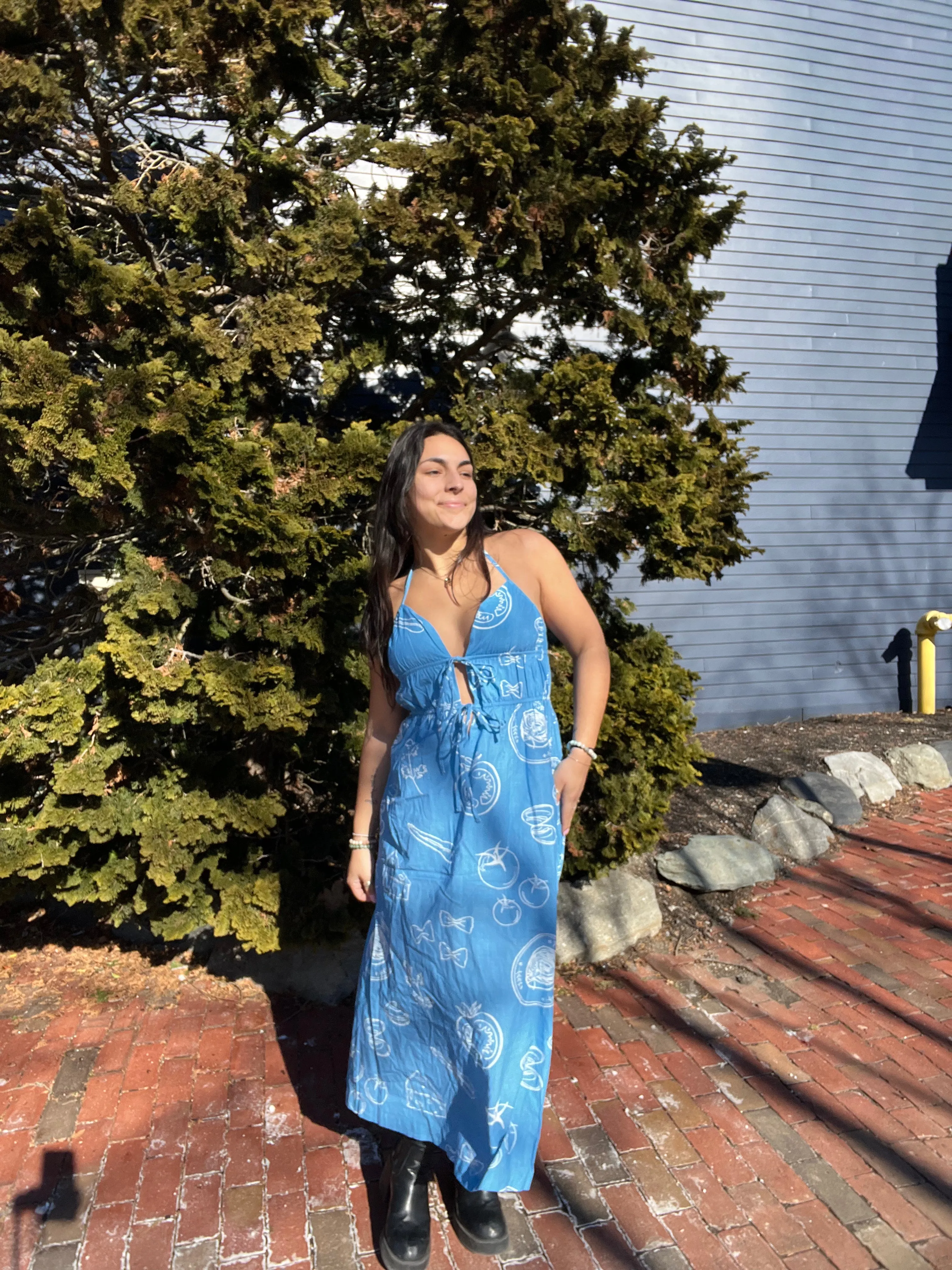 Park Picnic Maxi
