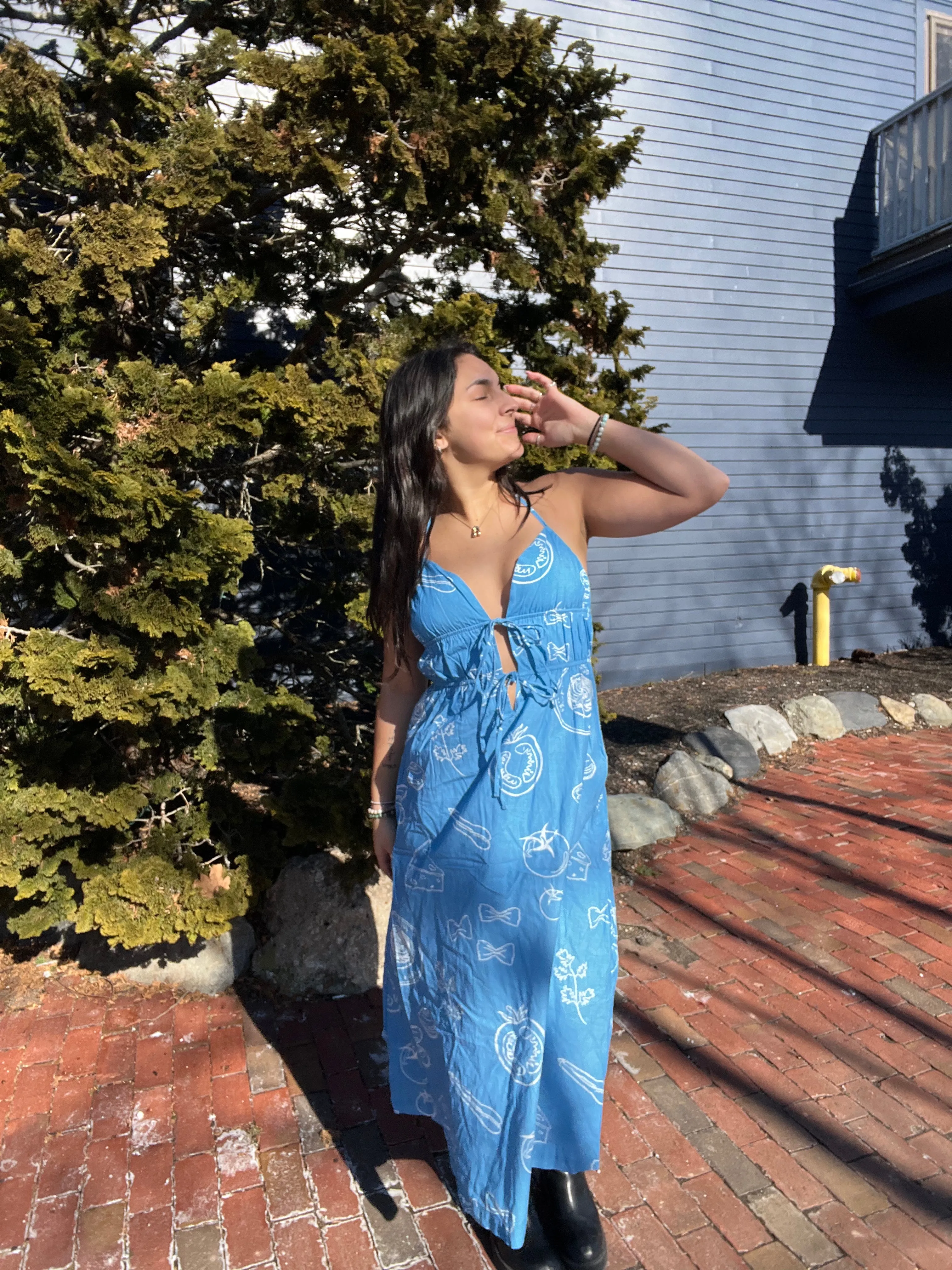 Park Picnic Maxi