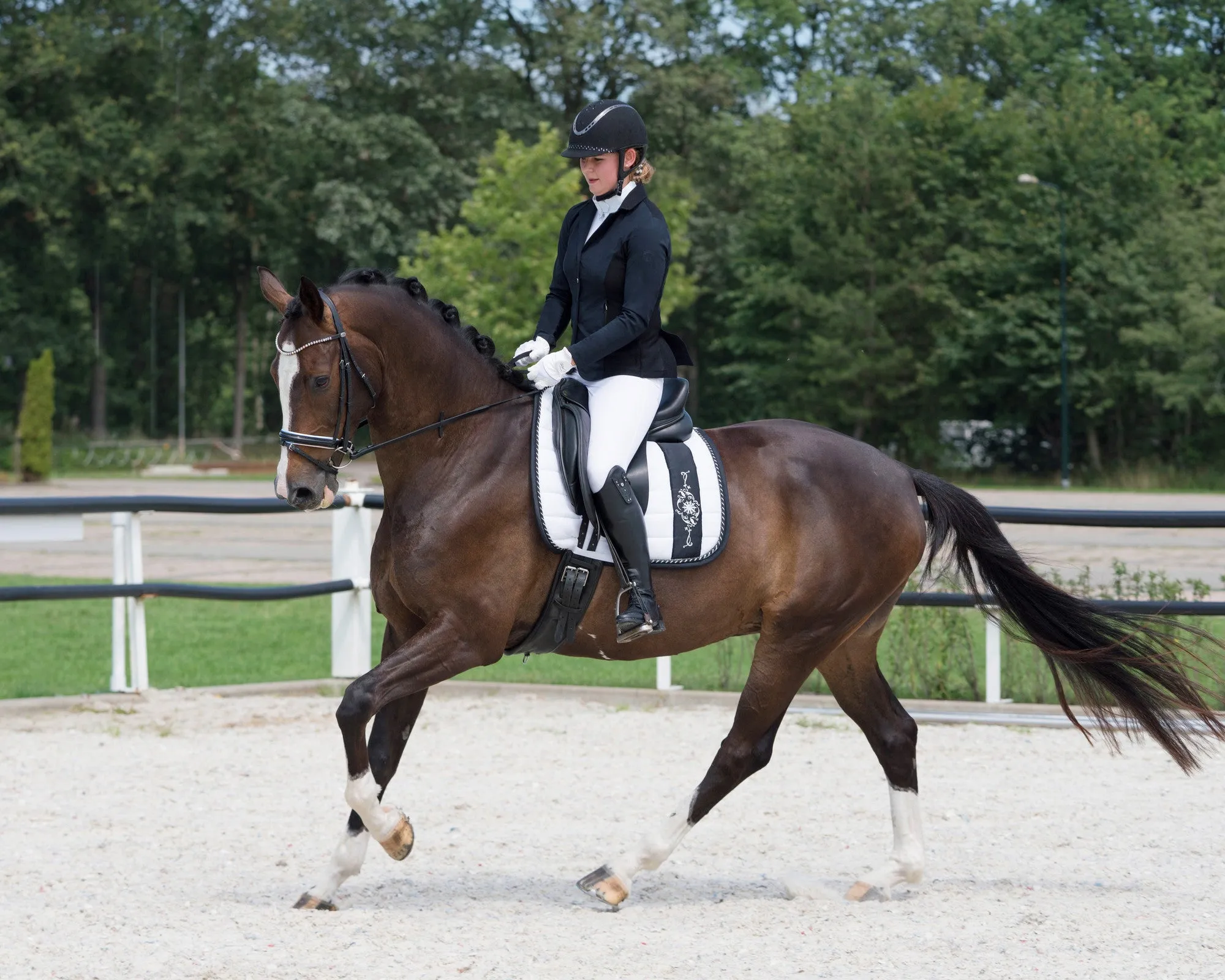 QHP Show Jacket "Noven"