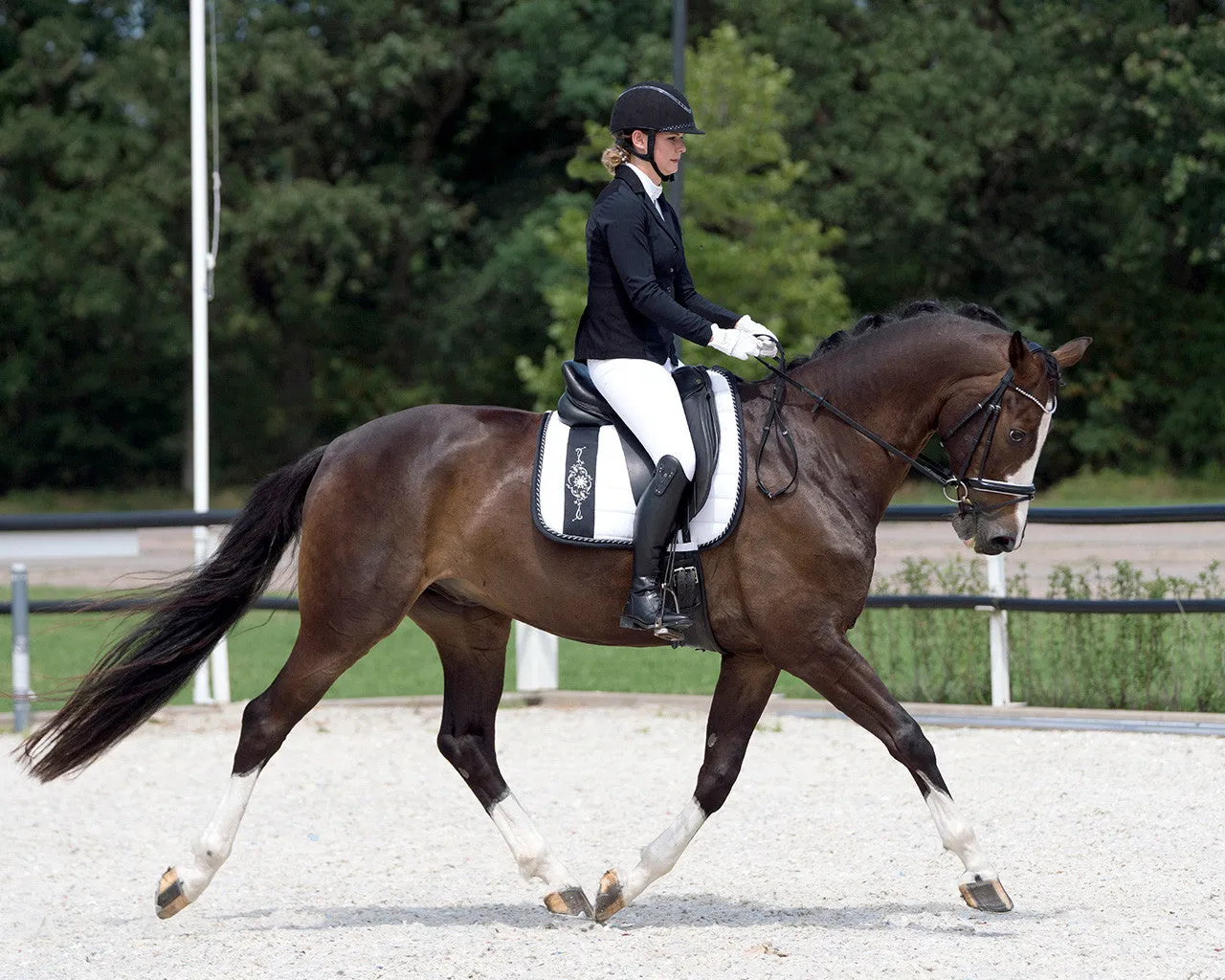 QHP Show Jacket "Noven"