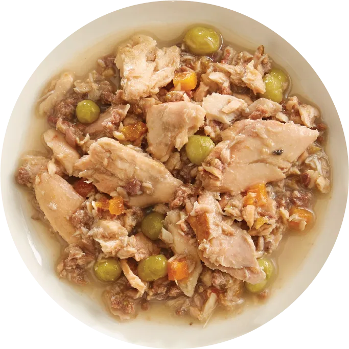 Rawz Aujou Salmon, Beef & Aku Tuna Pouch Dog Food
