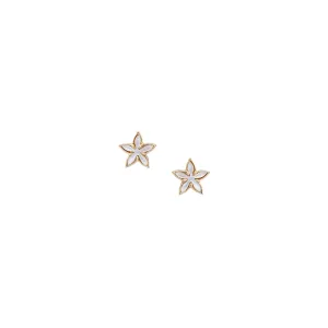 Santan Stud Earrings in Mother of Pearl