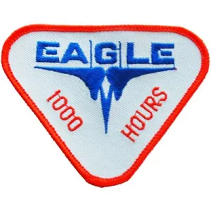 US Military USAF F-15 Eagle 1000 Hours Patch